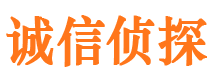 城子河侦探公司